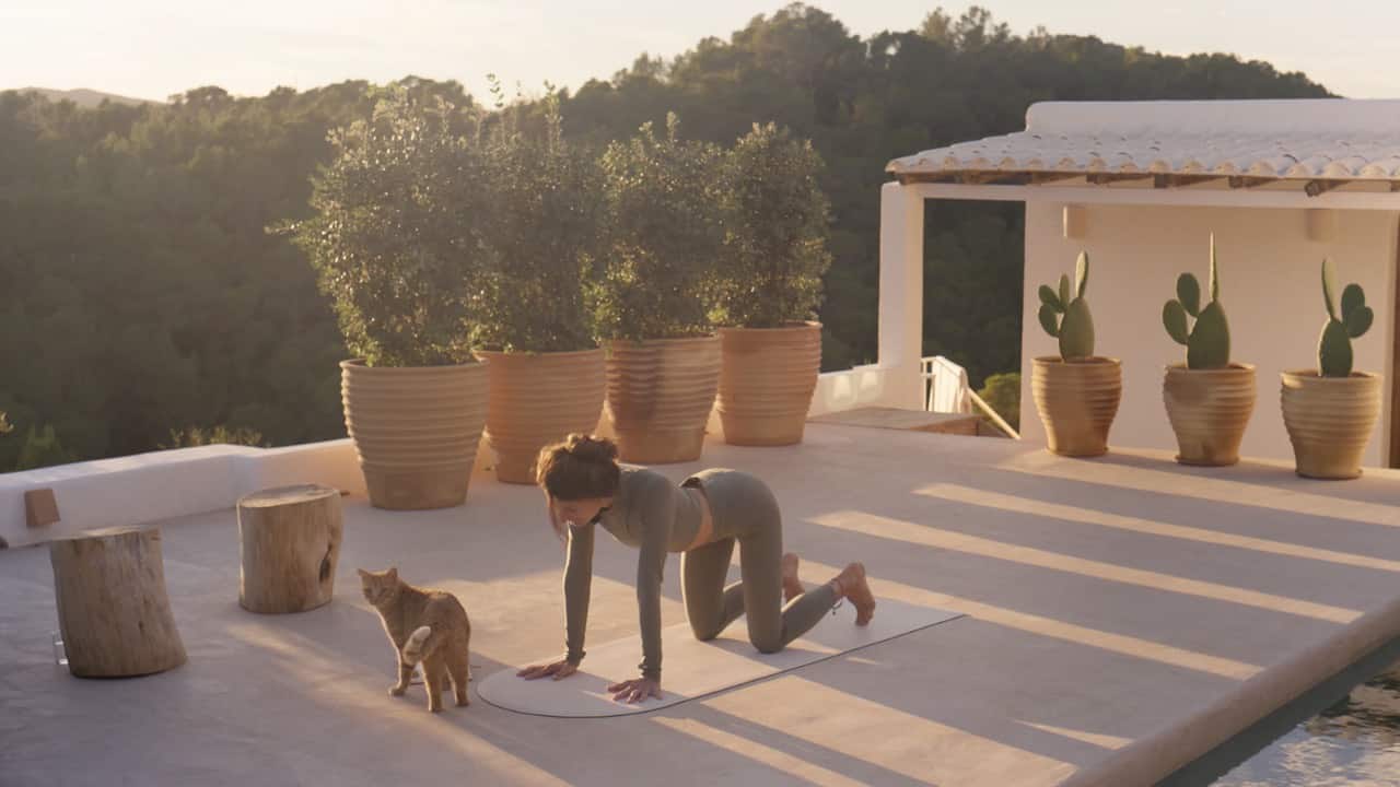 Embody Your Temple – exercise cover
